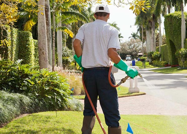 About Morgan Mill TX Pest Control